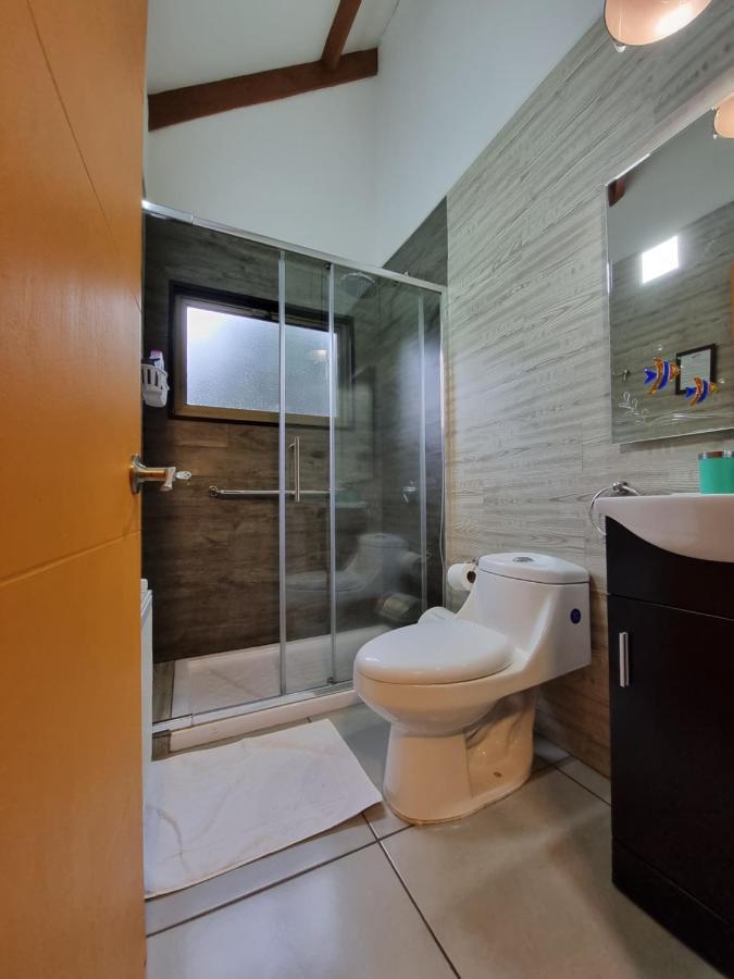 Hostel Torobayo Valdivia Exteriér fotografie